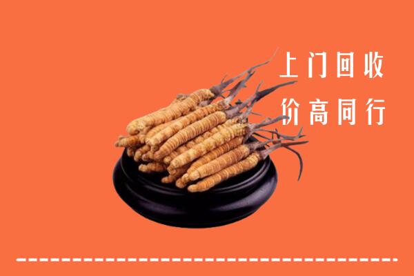 高价求购：海淀区回收散虫草