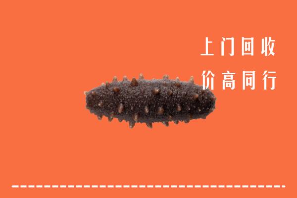 高价求购：海淀区回收海参